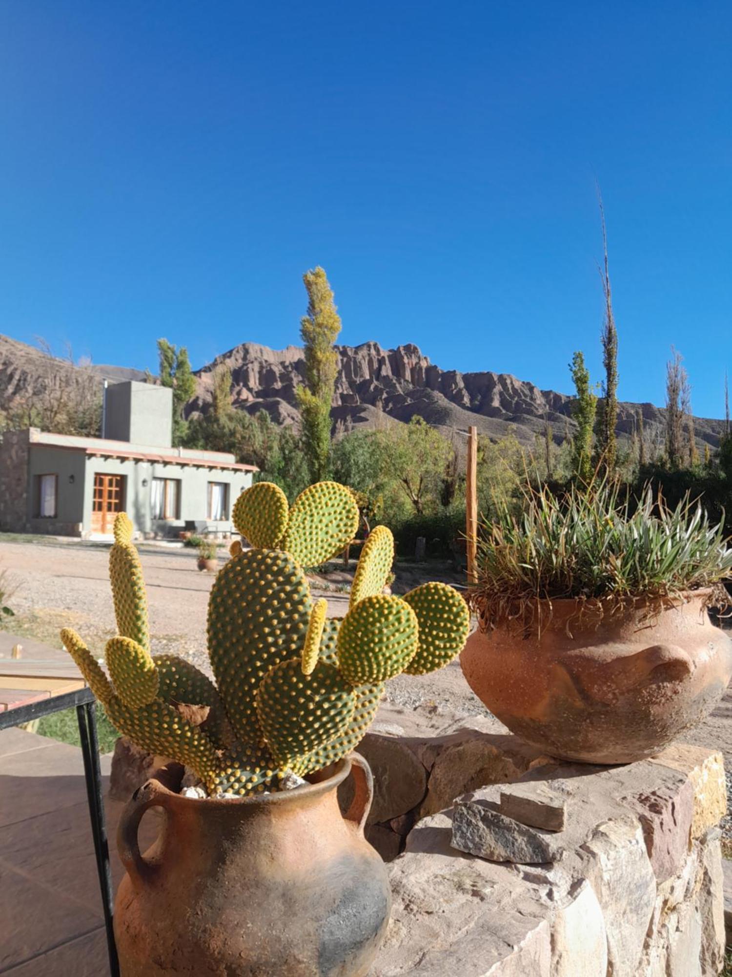 Apartamento Tierra Primitiva Tilcara Exterior foto