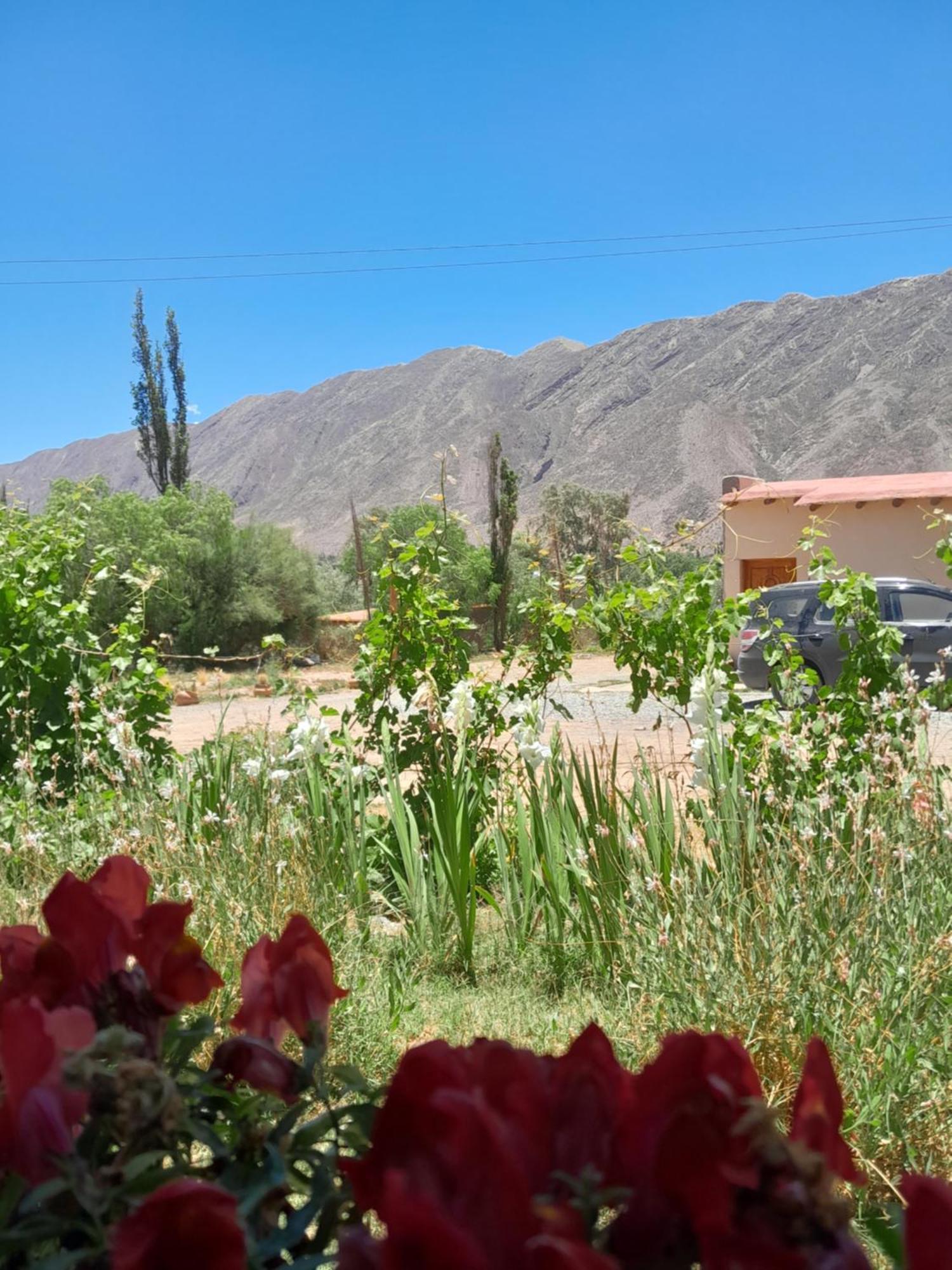 Apartamento Tierra Primitiva Tilcara Exterior foto